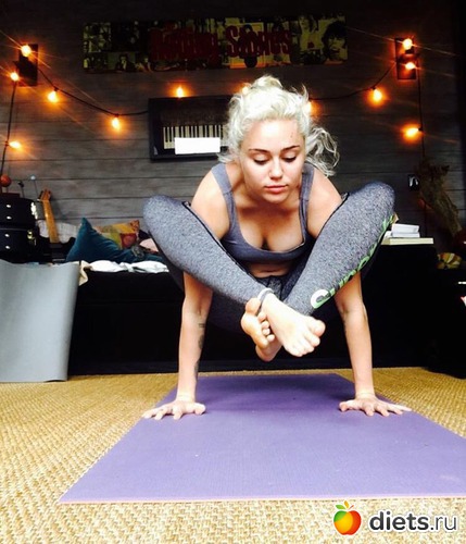 6 ����: ����� , ������, ����������