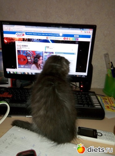 шелдон слушает музыку, альбом: гладиолус