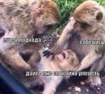 Тренер он такой!заааа... бббб.. отливый