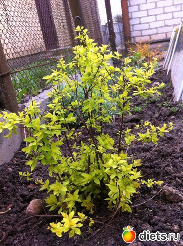 3 ����: ����