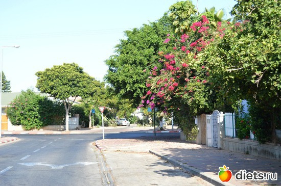 7 ����: ������� ����� �������