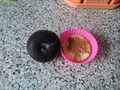 19 ������ - �������