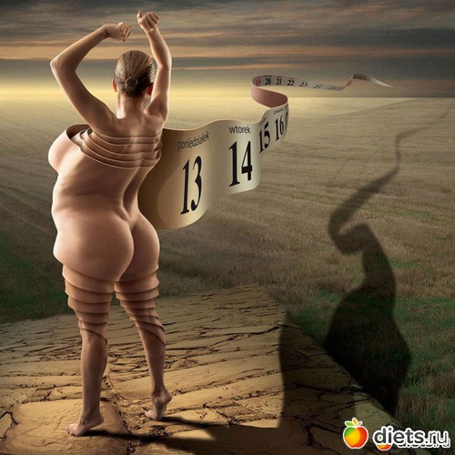 6 ����: �����������