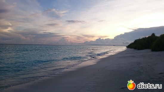 44 ����: ��������, ������ 21 ������ -1 ��� 2016