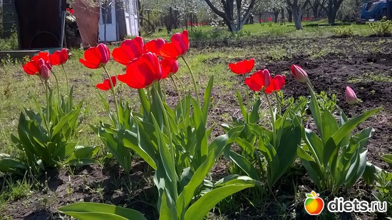 15 ����: �����