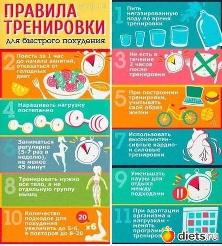 4 фото: питание