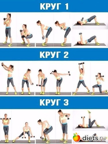 14 ����: �����