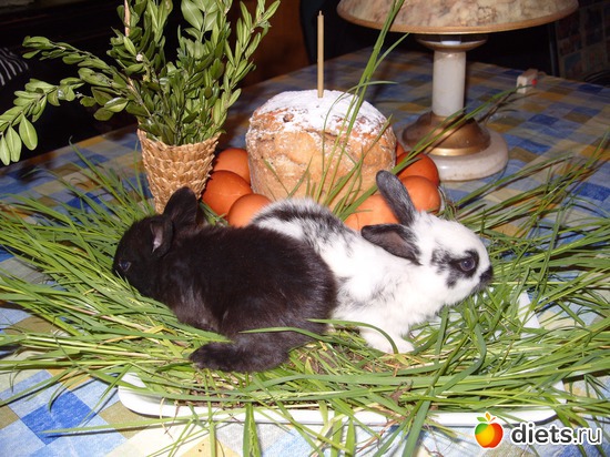 пасхальный кулич и кролики мои, альбом: Иконы и пасха вербное и т д