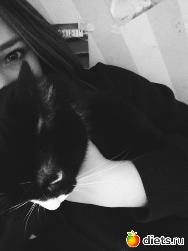 1 ����: ��� ��������/�����/�����