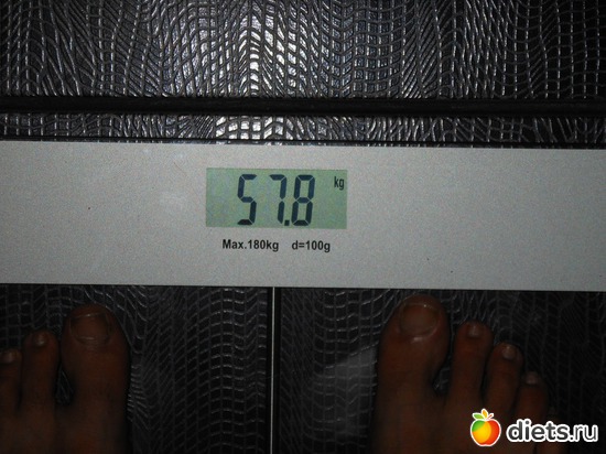 1 ����: ����