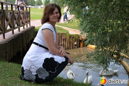 2 ����: ����������� ����