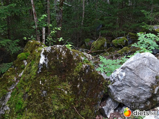 4 ����: ������� 2016