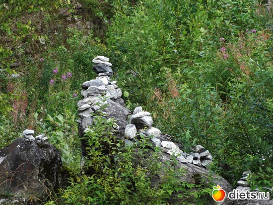 5 ����: ������� 2016