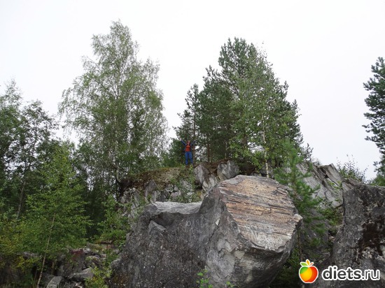 6 ����: ������� 2016