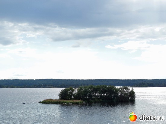 9 ����: ������� 2016