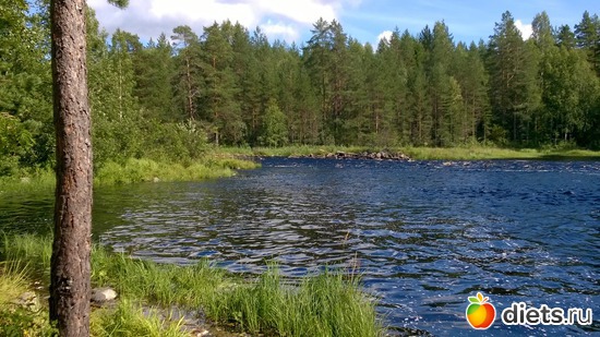 18 ����: ������� 2016