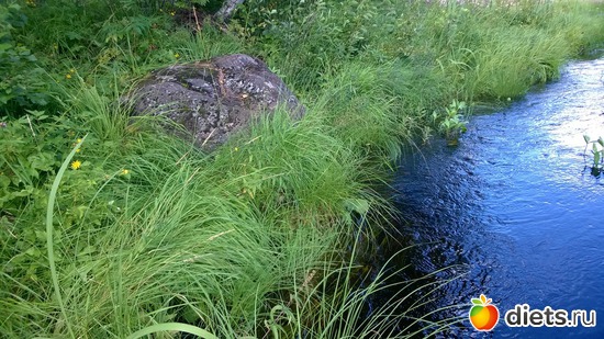 20 ����: ������� 2016