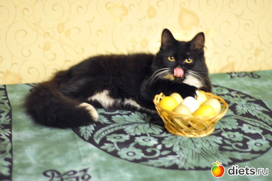 1 ����: ������