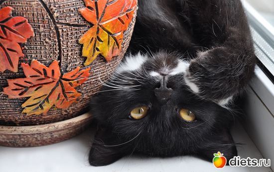 2 ����: ������