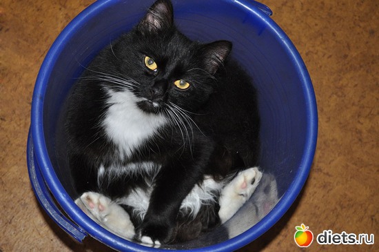 5 ����: ������