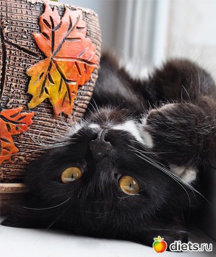 6 ����: ������