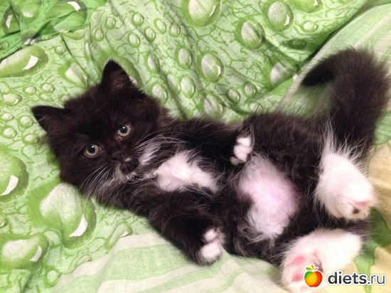 8 ����: ������