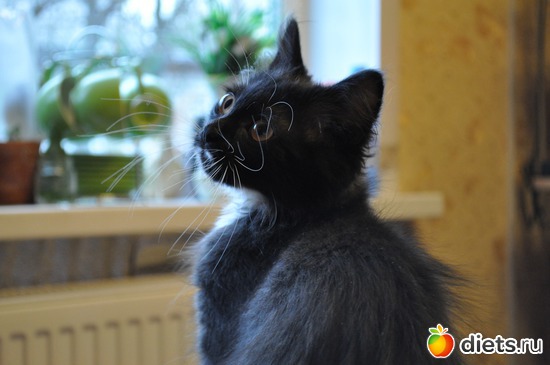 10 ����: ������