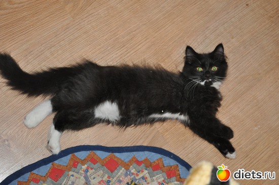 11 ����: ������