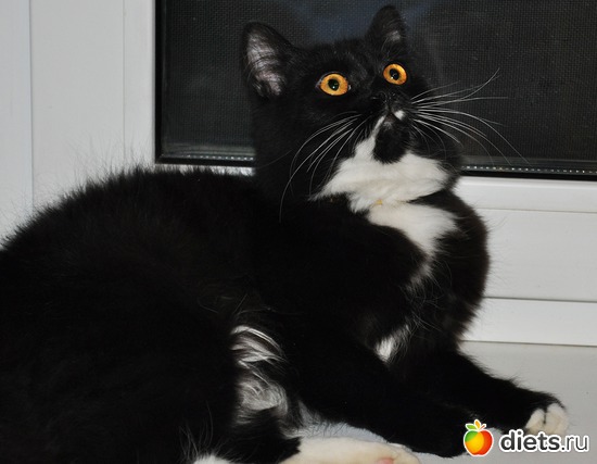 12 ����: ������