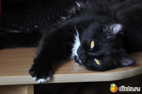 13 ����: ������