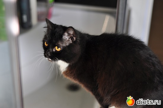 14 ����: ������