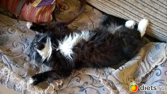 17 ����: ������