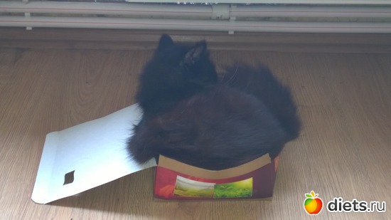 19 ����: ������