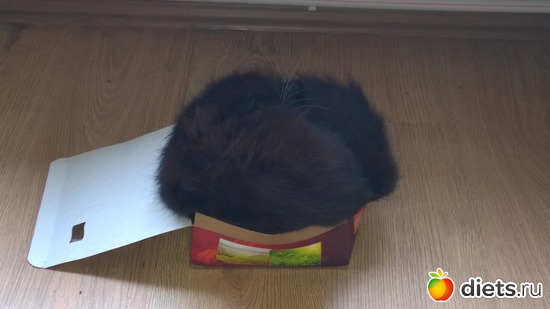 20 ����: ������