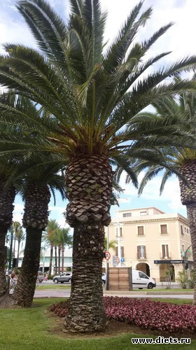 �����, ������: ���������-������� 2016. ������.