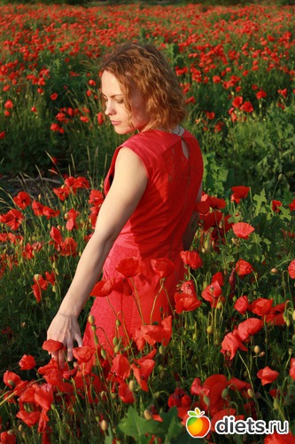 10 ����: ��� ������ (� ��������-��������)