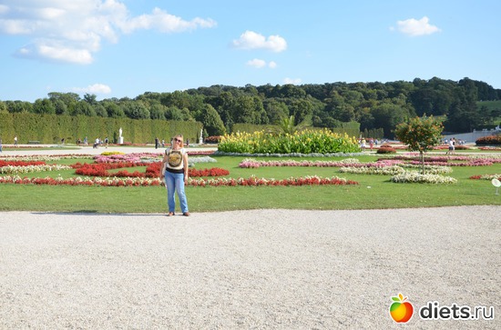 38 ����: ³����-�������� 2016