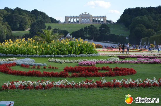 39 ����: ³����-�������� 2016