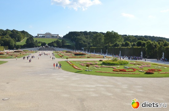 41 ����: ³����-�������� 2016