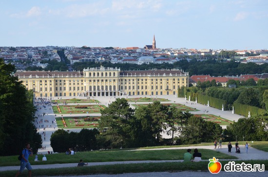 45 ����: ³����-�������� 2016