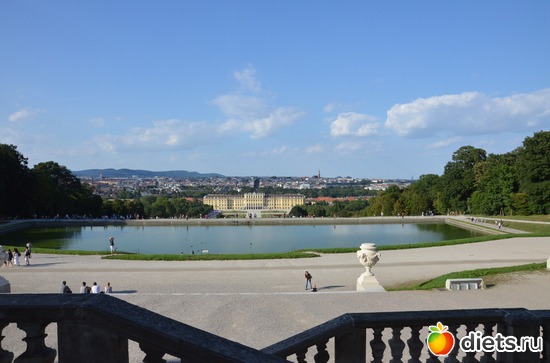 46 ����: ³����-�������� 2016