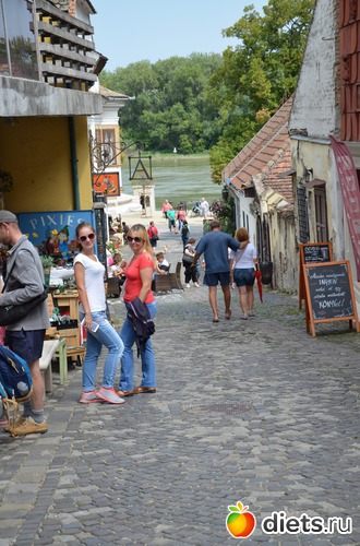 15 ����: ³����-�������� 2016