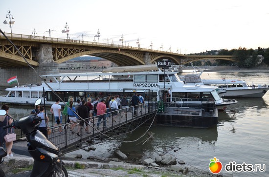 18 ����: ³����-�������� 2016