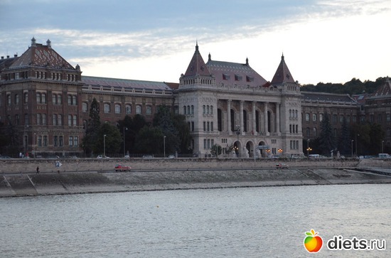 21 ����: ³����-�������� 2016