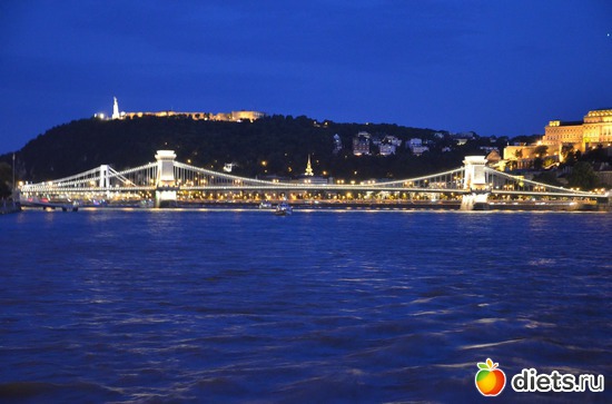 23 ����: ³����-�������� 2016