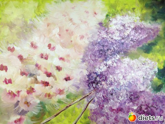 &quot;  &quot;, 60*45, , , :  