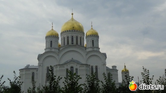 12 ����: �����  �������