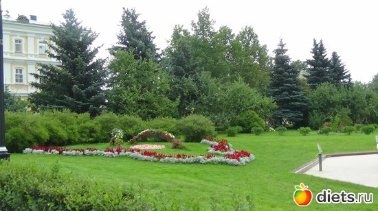 15 ����: �����  �������