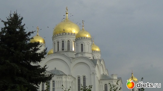 33 ����: �����  �������