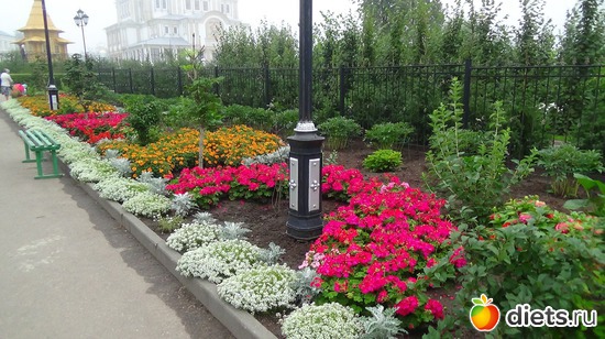 40 ����: �����  �������